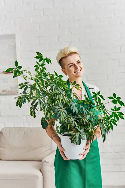 Эко-сознательный образ жизни, беззаботная и мечтательная женщина с татуировкой в руках зеленые листья растения в цветочном горшке и глядя в современные апартаменты, устойчивый декор дома и зеленая концепция жизни — стоковое фото