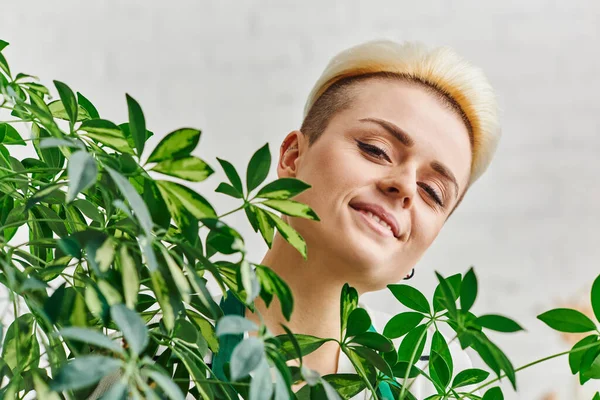 Pflanzenliebhaber, Porträt einer glücklichen jungen Frau mit strahlendem Lächeln und trendiger Frisur, die in die Kamera schaut, nahe der grünen Pflanze im Wohnzimmer, nachhaltige Wohnkultur und grünes Wohnkonzept — Stockfoto
