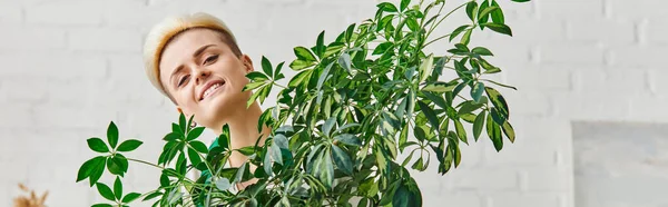 Ritratto di giovane donna con sorriso felice e acconciatura alla moda guardando la macchina fotografica vicino alla pianta d'appartamento verde in soggiorno, giardinaggio interno, arredamento domestico sostenibile e concetto di vita verde, banner — Foto stock