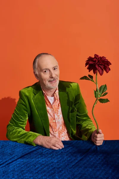 Позитивный и модный пожилой человек в зеленом бархатном пиджаке с красным цветком пиона, сидящий за столом с голубой велюровой тканью и улыбающийся в камеру на ярком оранжевом фоне, счастливая концепция старения — стоковое фото