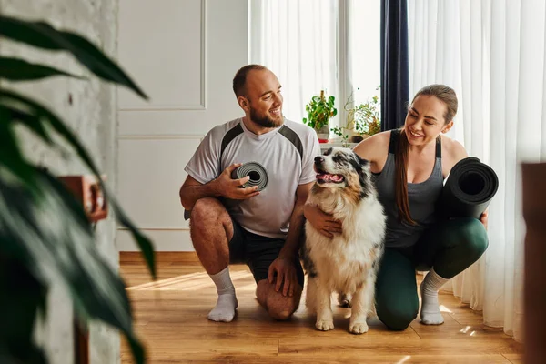 Positive couple in sportswear holding fitness mats and hugging border collie in living room at home — Stock Photo