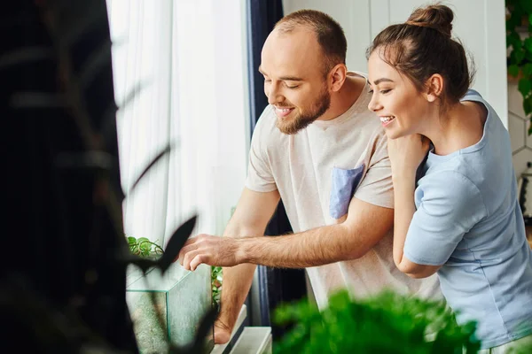 Smiling couple in homewear looking at terrarium while spending time near window at home — Stock Photo