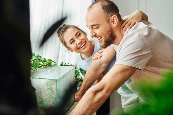Mujer morena sonriente en ropa de casa abrazando novio barbudo cerca de terrario y plantas en casa - foto de stock