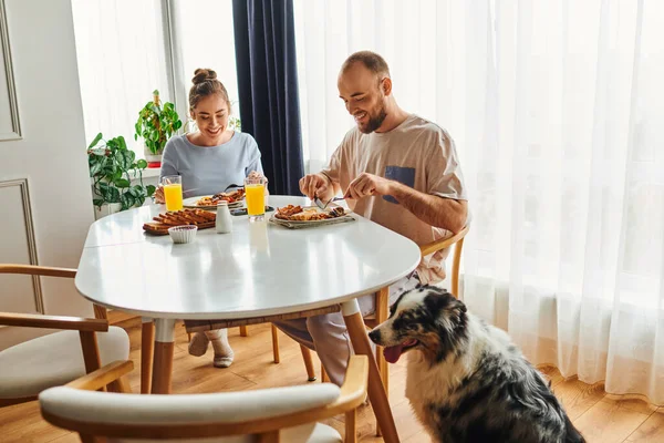 Positives Paar in Hauskleidung frühstückt und sitzt morgens in der Nähe von Border Collie Dog — Stockfoto