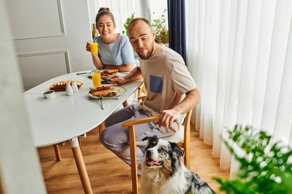 Sorrindo casal tomando café da manhã e suco de laranja perto de fronteira collie cão em casa de manhã — Fotografia de Stock