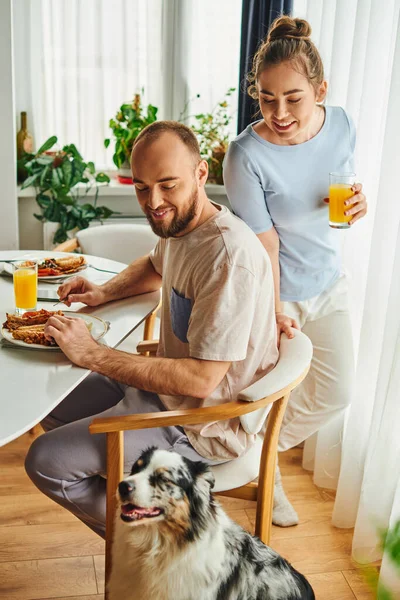 Femme souriante tenant du jus d'orange près du petit ami et de la frontière collie chien pendant le petit déjeuner à la maison — Photo de stock