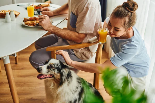 Smiling woman with orange juice and petting border collie while boyfriend having breakfast at home — Stock Photo