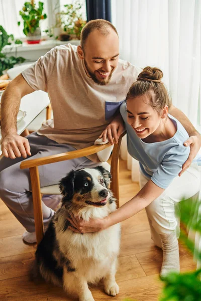 Cheerful couple in homewear petting border collie dog during breakfast in morning at home — Stock Photo