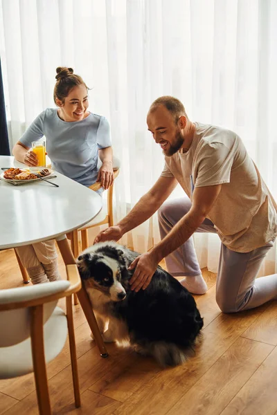 Lächelndes Paar in Hauskleidung streichelt Border Collie Hund beim Frühstück mit Orangensaft zu Hause — Stockfoto