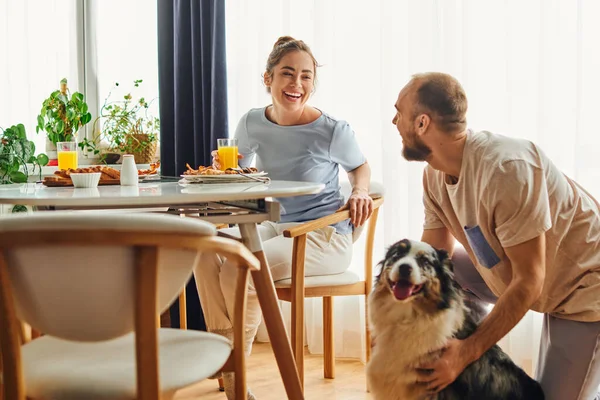 Positive woman in homewear sitting near breakfast and boyfriend with border collie at home — Stock Photo