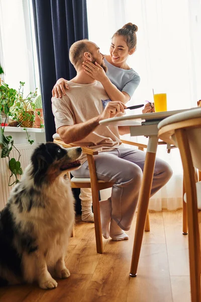 Femme souriante en vêtements de maison étreignant petit ami près du petit déjeuner et collie frontière à la maison le matin — Photo de stock