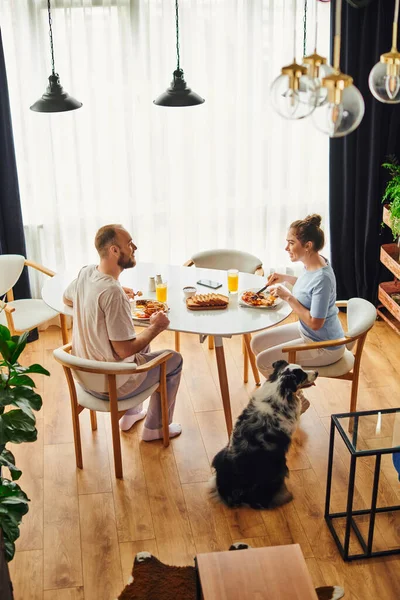 Side view of cheerful couple having homemade breakfast near border collie dog at home in morning — Stock Photo