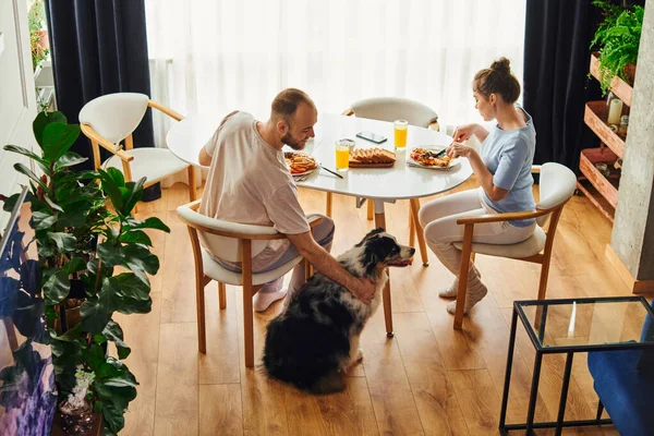 Alto ângulo vista de homem sorridente carinhoso fronteira collie enquanto tomando café da manhã com a namorada em casa — Fotografia de Stock