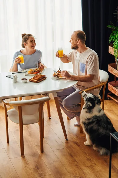 Улыбающаяся пара в домашней одежде, держащая апельсиновый сок и завтракающая возле границы колли-дога дома — стоковое фото