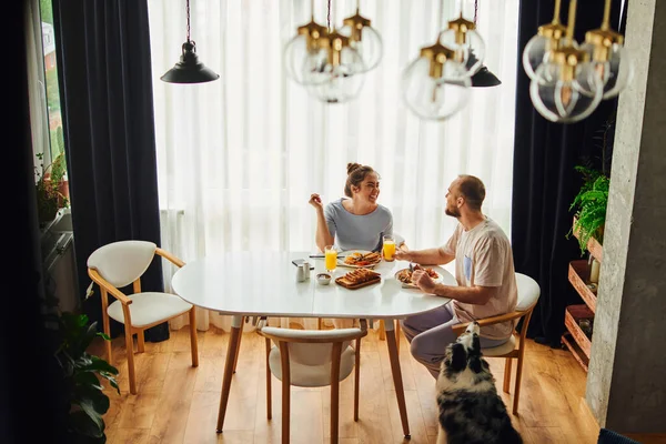 Couple souriant parlant tout en prenant le petit déjeuner avec du jus d'orange près de la frontière collie chien à la maison — Photo de stock
