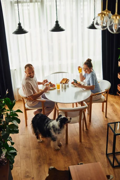 Vue grand angle du couple joyeux petit déjeuner avec du jus d'orange près de la frontière collie à la maison — Photo de stock