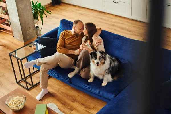 Vue grand angle du couple souriant avec café étreignant près de la frontière collie sur le canapé à la maison — Photo de stock