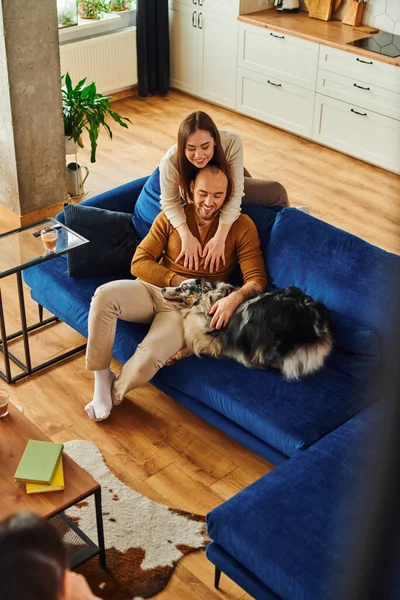 Vista de alto ângulo de casal sorridente abraçando perto da borda collie e café no sofá em casa — Fotografia de Stock