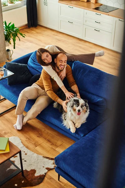 High angle view of positive coupe hugging and spending time with border collie on couch at home — Stock Photo