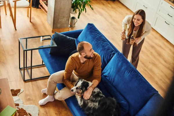 Overhead view of smiling woman holding coffee cup near boyfriend and border collie on couch at home — Stock Photo