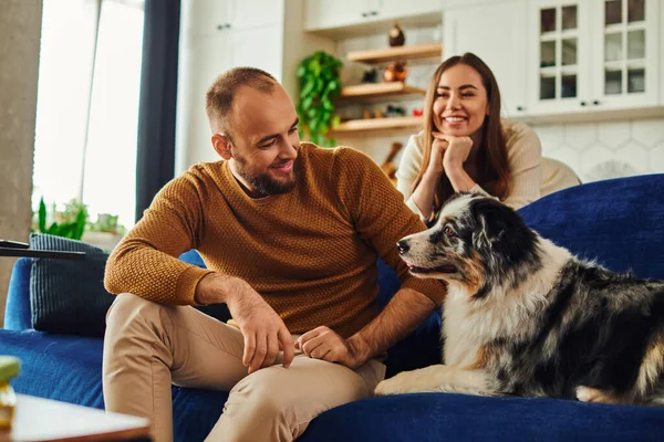 Sorrindo homem em roupas casuais sentado perto de fronteira collie e namorada borrada no sofá em casa — Fotografia de Stock