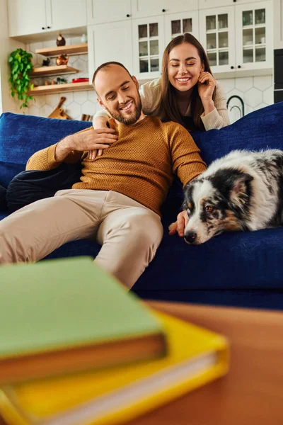 Усміхнена пара обіймає і проводить час з прикордонною собакою-колі на дивані біля книг у вітальні — стокове фото