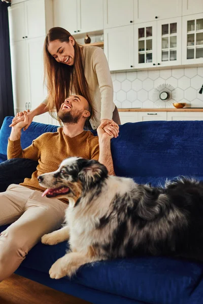 Positive couple in casual clothes holding hands and spending time near border collie on couch — Stock Photo