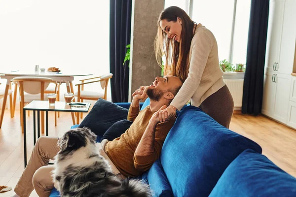 Cheerful couple in casual clothes holding hands near border collie on couch in living room at home — Stock Photo