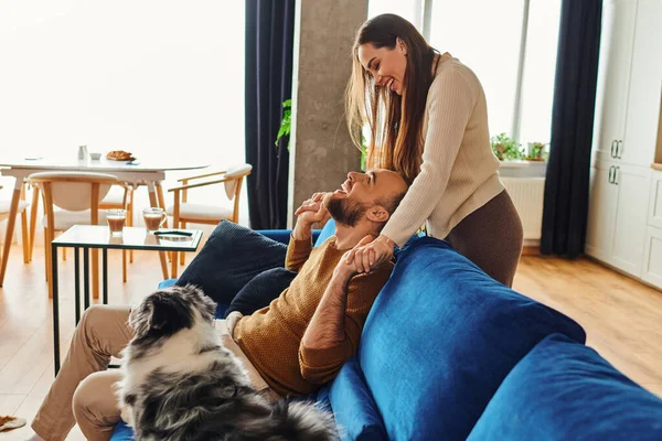 Couple joyeux en vêtements décontractés tenant la main près de la frontière collie sur le canapé dans le salon à la maison — Photo de stock