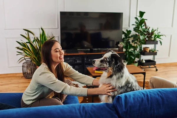 Весела жінка в повсякденному одязі обіймає собаку-колі, сидячи на дивані у вітальні — стокове фото