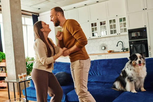 Side view of cheerful couple holding hands and dancing near border collie dog on couch at home — Stock Photo