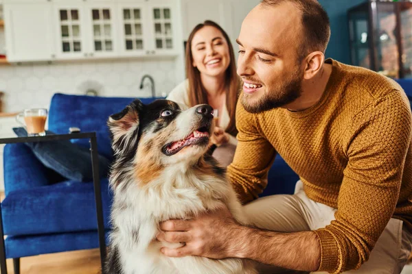 Smiling bearded man in casual clothes hugging border collie near blurred girlfriend at home — Stock Photo