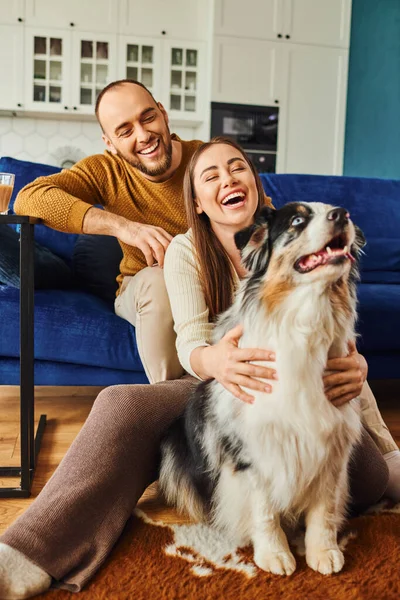 Cheerful woman in casual clothes hugging border collie and sitting near boyfriend on couch at home — Stock Photo