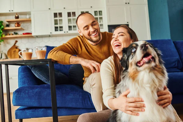 Cheerful woman hugging border collie near boyfriend and coffee in living room at home — Stock Photo