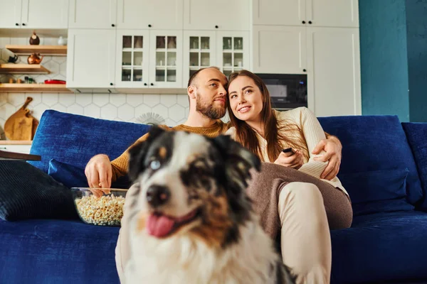 Couple souriant regardant un film avec du pop-corn assis sur le canapé près de la frontière floue collie à la maison — Photo de stock