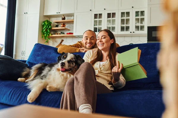 Позитивна пара з книгою, що проводить час біля кордону колі собаки на дивані у вітальні вдома — стокове фото