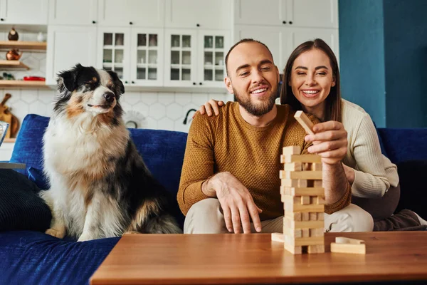 Mujer sonriente abrazando novio y jugando bloques de madera juego cerca de frontera collie perro en el sofá en casa - foto de stock