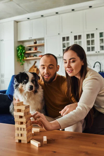 Joyful casal jogar blocos de madeira jogo na mesa de café perto de fronteira collie no sofá em casa — Fotografia de Stock