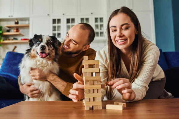 Joyful woman in casual clothes stacking wood blocks game near boyfriend and border collie at home — Stock Photo