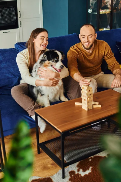Homem positivo jogando madeira blocos jogo enquanto namorada abraçando fronteira collie cão no sofá em casa — Fotografia de Stock