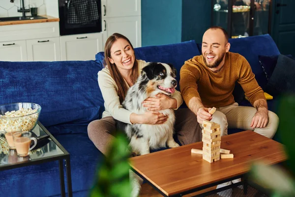 Positives Paar verbringt Zeit mit Holzklötzchen-Spiel und Border Collie auf der Couch neben Popcorn zu Hause — Stockfoto