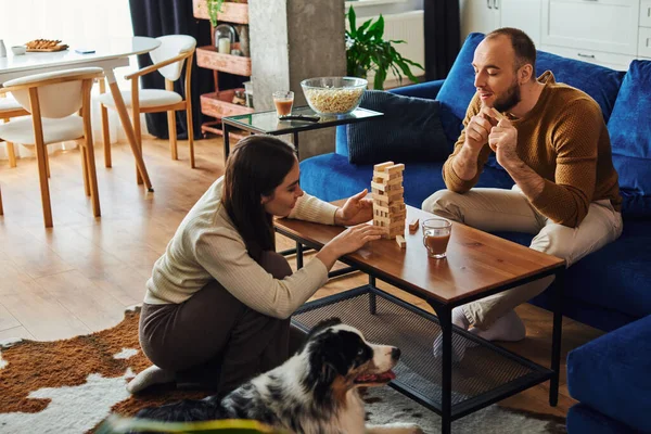 Sorrindo homem passar tempo com a namorada jogando jogo de blocos de madeira perto de fronteira collie em casa — Fotografia de Stock
