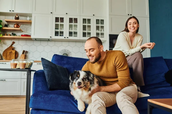 Smiling man petting border collie while sitting near girlfriend on couch and popcorn at home — Stock Photo