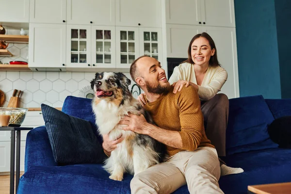 Smiling woman hugging boyfriend near border collie,popcorn and coffee in living room at home — Stock Photo