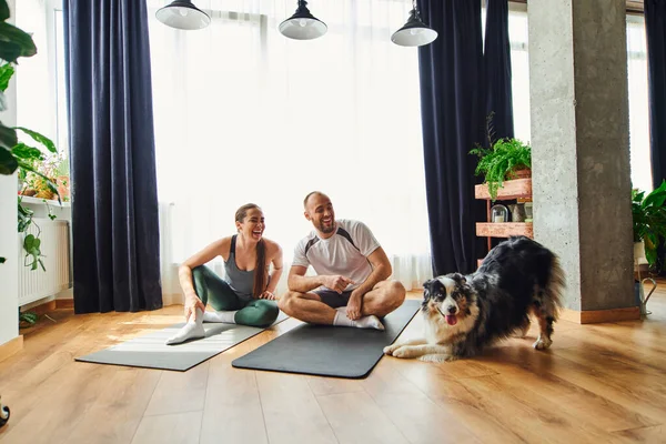 Smiling couple in sportswear having fun while sitting on fitness mats near border collie at home — Stock Photo