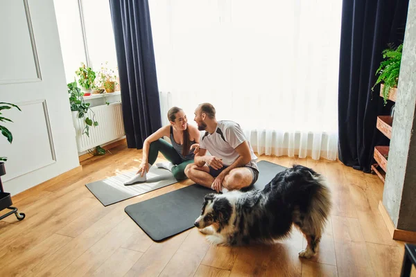 Casal alegre em sportswear rindo enquanto sentado em tapetes de fitness perto de border collie em casa — Fotografia de Stock