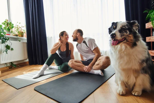 Sorrindo casal em sportswear sentado em tapetes de fitness perto borrada fronteira collie cão em casa — Stock Photo