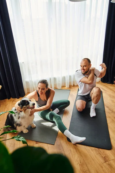 High angle view of smiling woman in sportswear petting border collie near boyfriend at home — Stock Photo