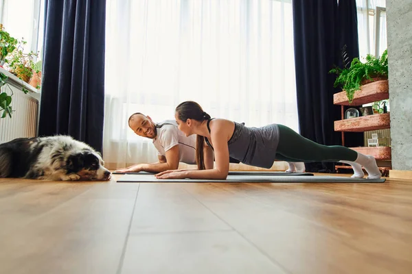 Sorrindo casal em sportswear de pé em pânico e olhando uns para os outros perto de fronteira collie em casa — Fotografia de Stock