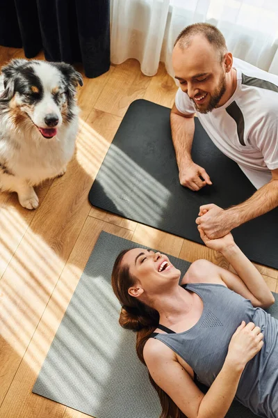High angle view of smiling couple holding hands and lying on fitness mats near border collie at home — Stock Photo
